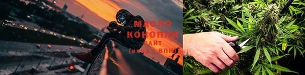 стаф Козловка