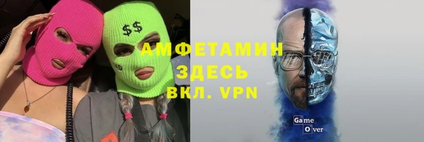 стаф Козловка