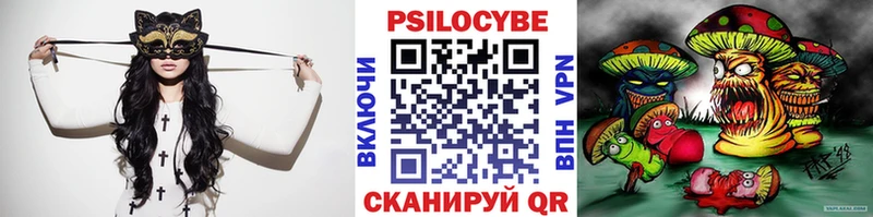 где продают Киселёвск Галлюциногенные грибы Psilocybine cubensis